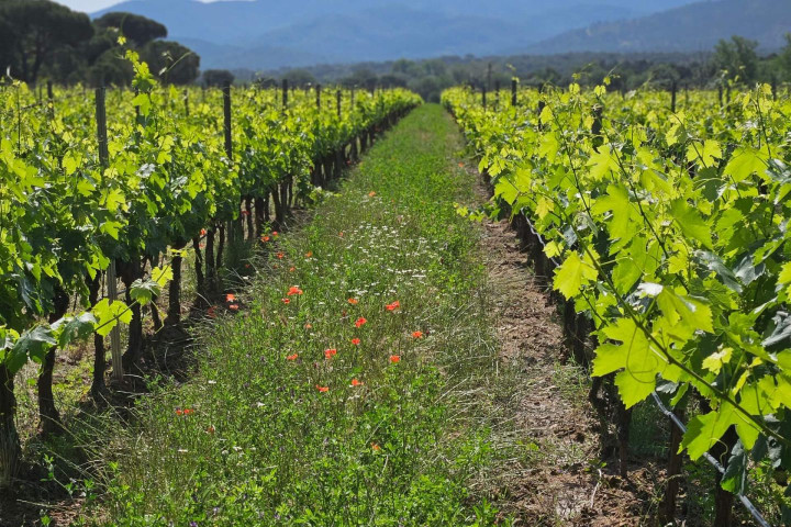 Château Barralière